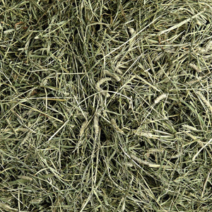 Premium Ultra-Soft Timothy Hay