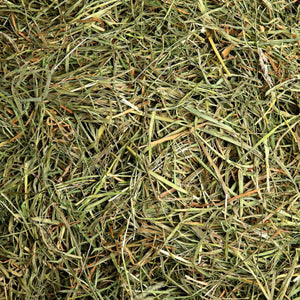 3rd Cutting Timothy Hay