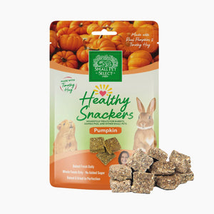 Healthy Snackers - Pumpkin (2oz)